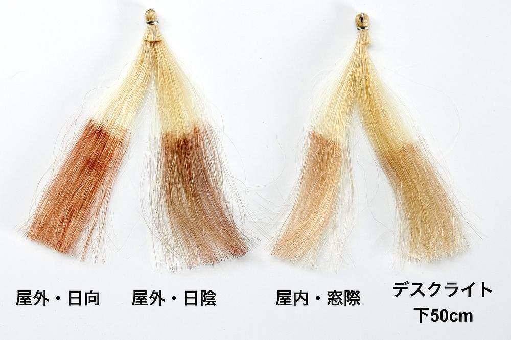1回の使用でほとんど白髪が目立たなくなる|髪と頭皮を傷めることなくカラーリングできる。クリームを塗って光で着色するユニーク発想する白髪染め「ルミナマジックS」