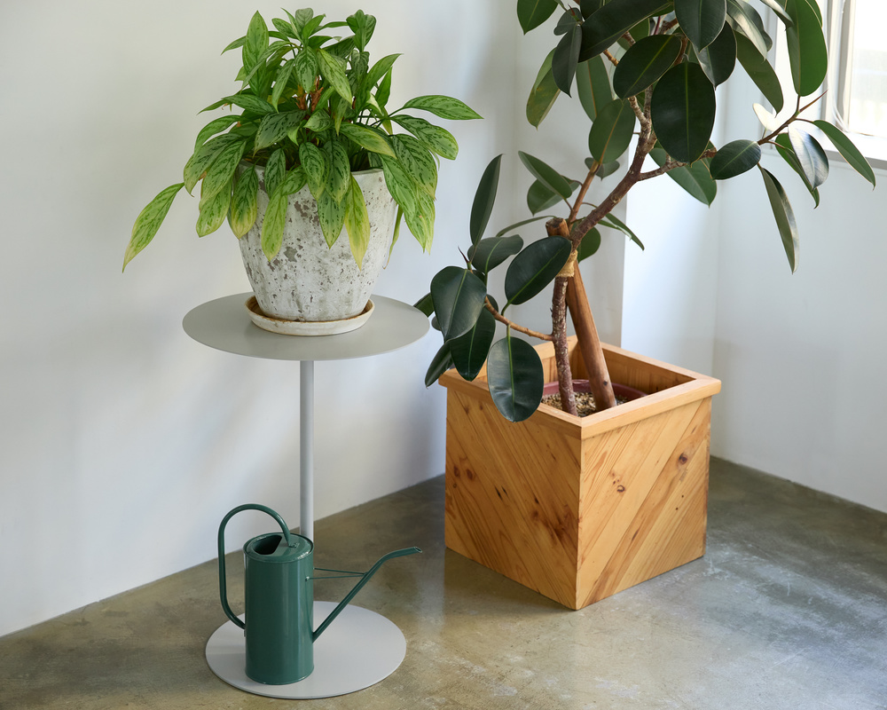 なんとなく部屋に置いている観葉植物やお気に入りの雑貨を「サイドテーブル」に置けばディスプレイに格上げ｜おしゃれなアパレルショップの什器を手掛ける日本コパック株式会社によるお洒落なスチール家具『KIT（キット）』
