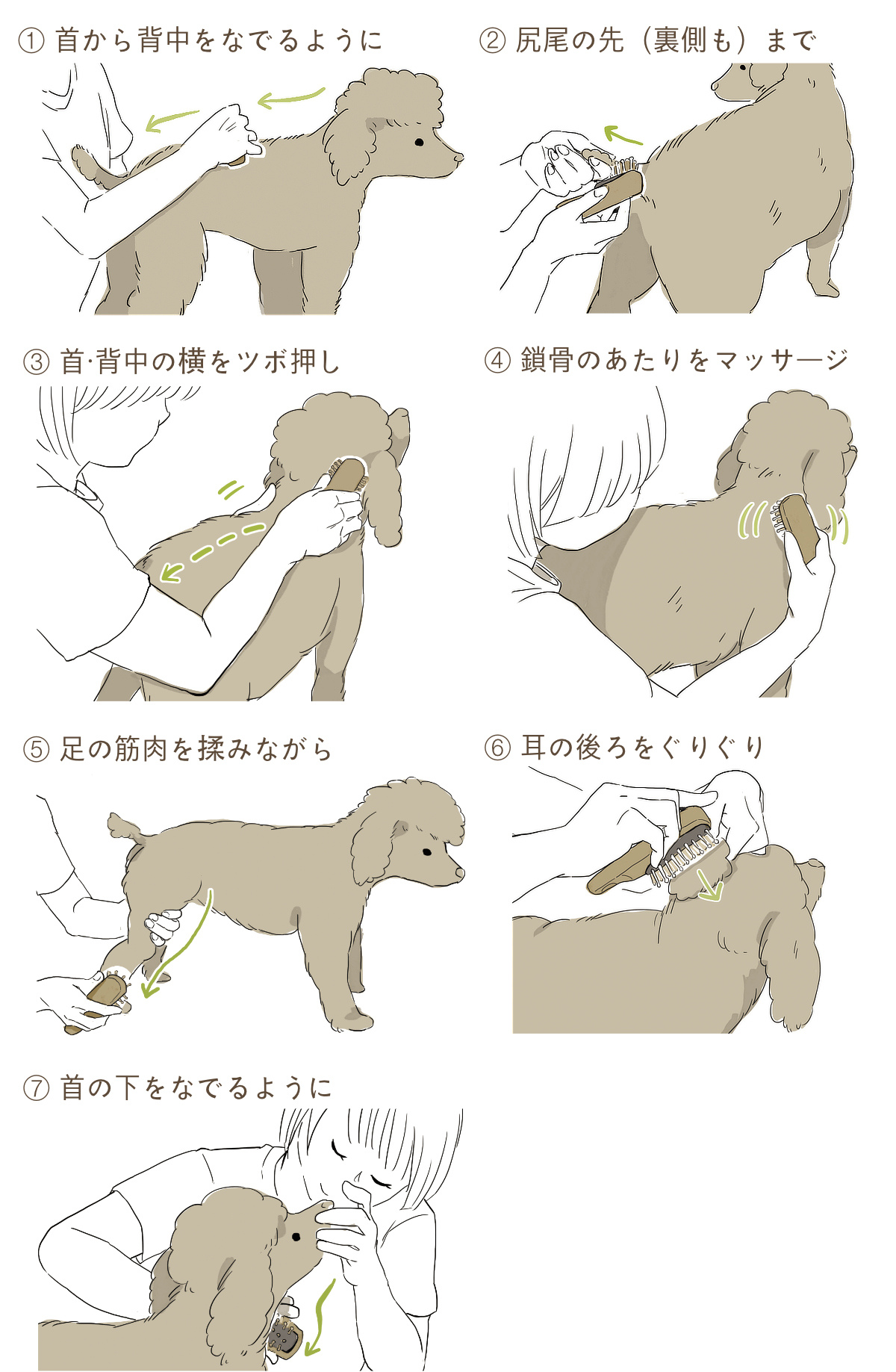 使い方のコツを前述の動物看護師・増子元美さんに教えていただきました｜犬・猫の健康と長生きに。ペット用の竹ピンブラシ・マッサージブラシ「ワンダフルブラシ」｜サンエア