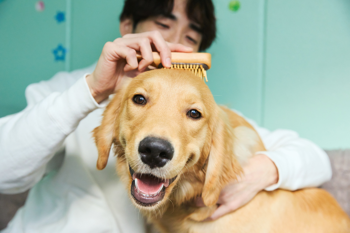 飼い主さんも疲れを癒しながら、一緒に健康で幸せな生活を送ってください｜犬・猫の健康と長生きに。ペット用の竹ピンブラシ・マッサージブラシ「ワンダフルブラシ」｜サンエア