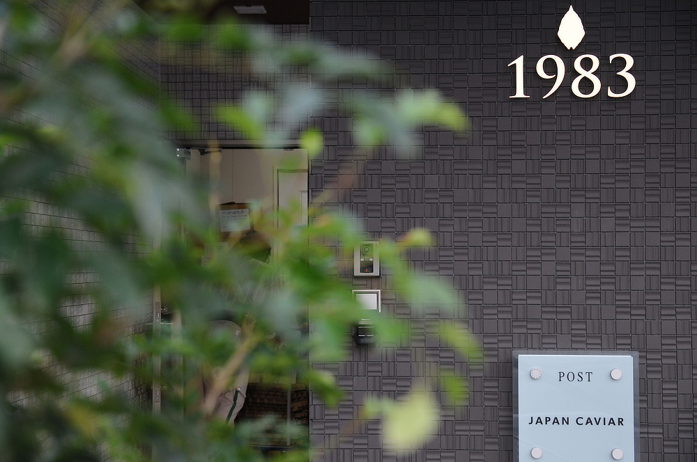 キャビアへの情熱と地道な努力で花開かせたのが「ジャパンキャビア株式会社」｜贈り物、プレゼント、ギフトに。至福の旨味と口溶け、国産クラフトキャビア｜1983 J.CAVIAR（ジェイ キャビア）