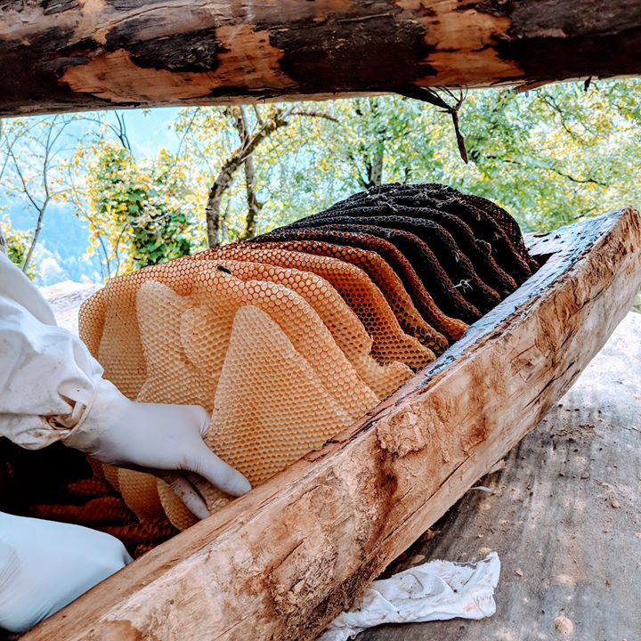 人工的なものから隔離し、自然の環境にこだわった厳しい規定を設けていることもあり、年々担い手が減少。今では約120人の採蜜家のみ、年間でも約3000kgしか採れない、希少なハチミツです。｜世界最古の採蜜の地・ジョージアから届いた、野生のままの巣ごとハチミツ『JARA Honey（ジャラハニー）』