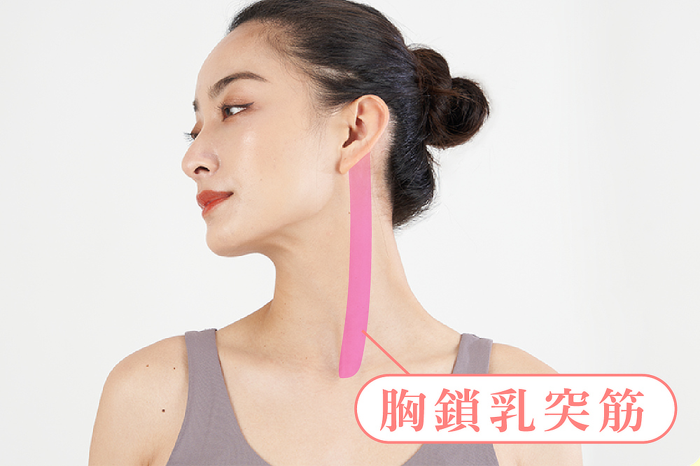 頭の重みで無理なくストレッチ&押圧・指圧できるコリほぐし、癒しグッズ、リラックス・マッサージ・ストレッチ|P:REST(ピーレスト)