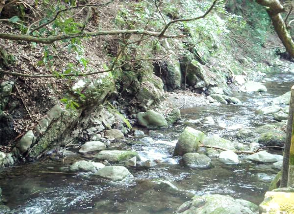 豊かな水資源に恵まれている大阪・泉州地域。「熟睡」を追求した凹凸状のハニカム織りのハニカムケット(ワッフルケット)