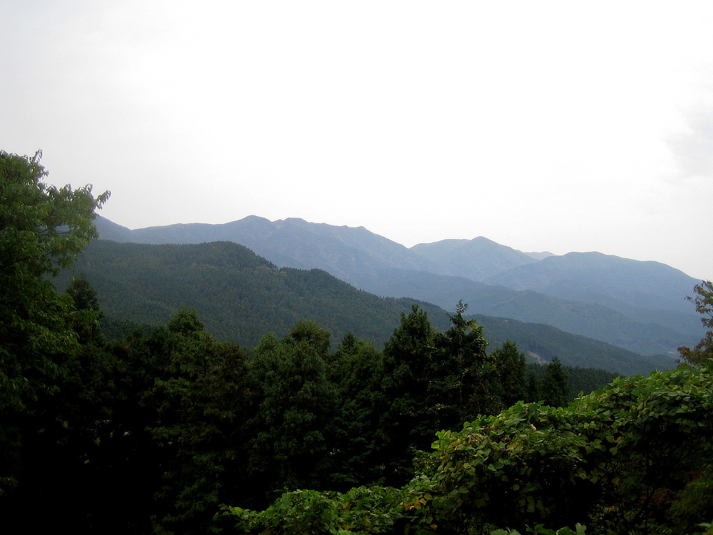 脊振山地の山々や、田んぼに広がる緑|日本のミマツ工芸による佐賀の杉を選び抜いて作った家具『NENRIN(年輪)』|ウォールミラー・鏡