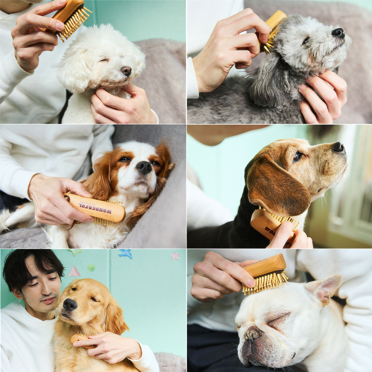 コリをほぐしペットの健康をサポート｜犬・猫の健康と長生きに。ペット用の竹ピンブラシ・マッサージブラシ「ワンダフルブラシ」｜サンエア