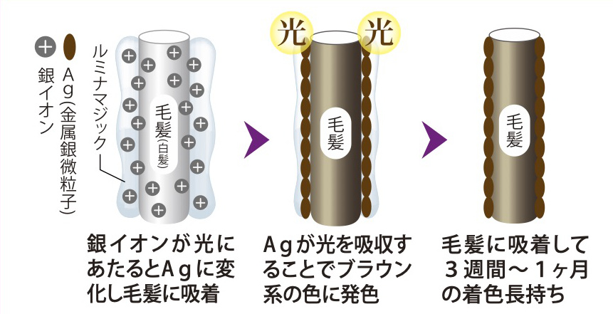 光で着色するメカニズムが皮膚トラブルの少ないヘアカラー剤を生み出す|髪と頭皮を傷めることなくカラーリングできる。クリームを塗って光で着色するユニーク発想する白髪染め「ルミナマジックS」