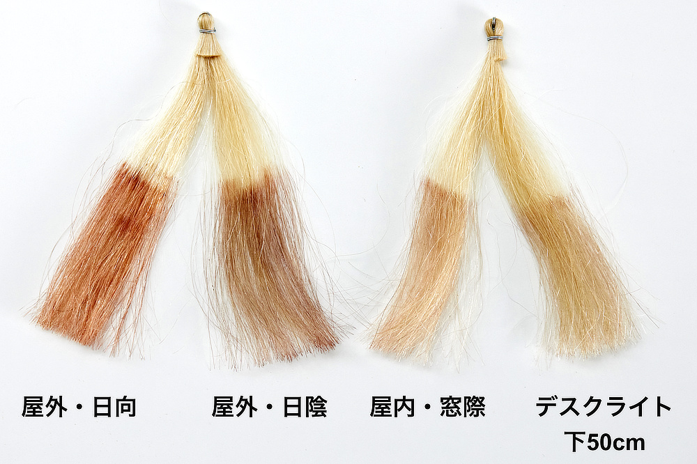 光は、太陽光・蛍光灯・白熱灯・LEDなんでもOKですが、直射日光が最も早く、濃く着色できる|髪と頭皮を傷めることなくカラーリングできる。クリームを塗って光で着色するユニーク発想する白髪染め「ルミナマジックS」