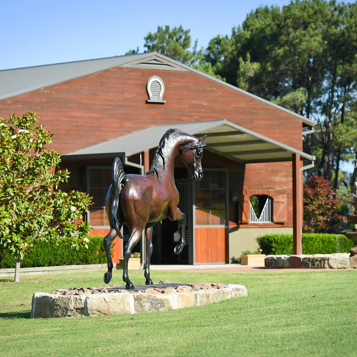 Sunday Open Barns 2026