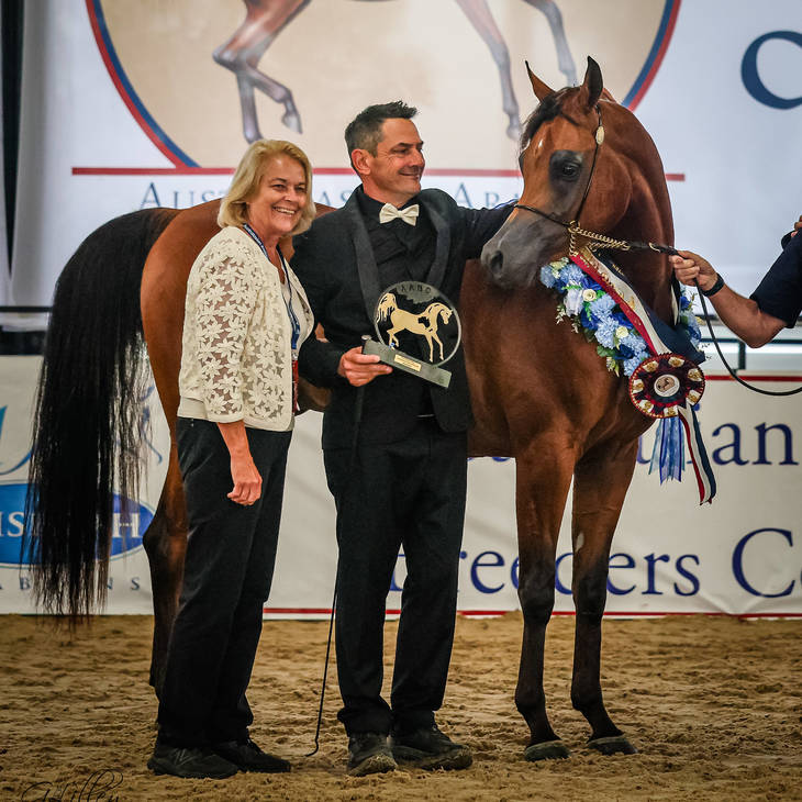 FAWAZ DEL PALAZZOTTO