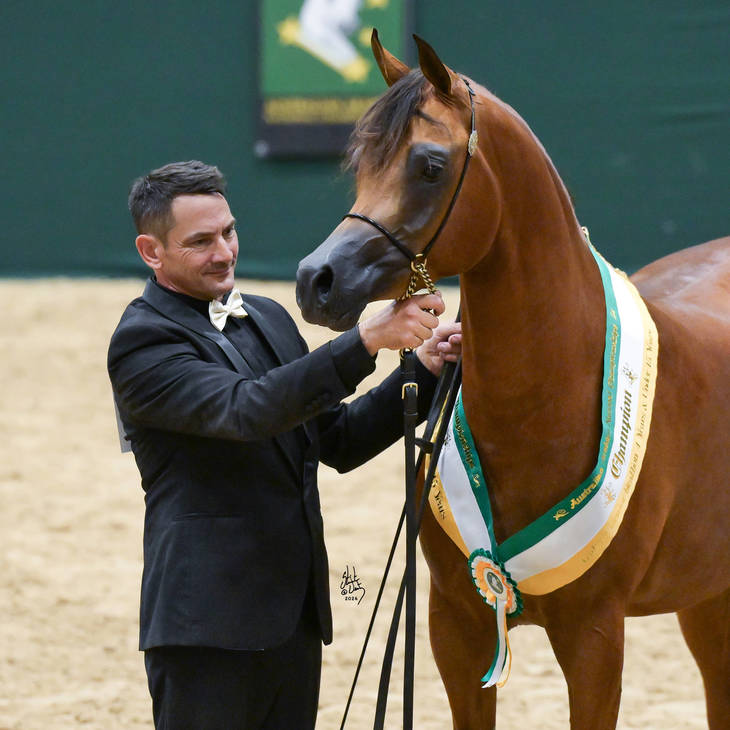 FAWAZ DEL PALAZZOTTO