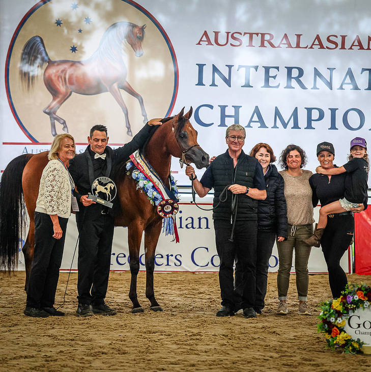 FAWAZ DEL PALAZZOTTO