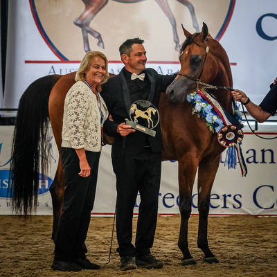 FAWAZ DEL PALAZZOTTO