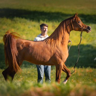 ASPIRE MI | Dam of AMPLIFY MI