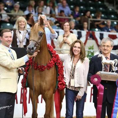 An Angel Ascends | Farewell to VALENTINO'S ANGEL MI