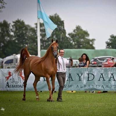 An Angel Ascends | Farewell to VALENTINO'S ANGEL MI