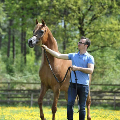 An Angel Ascends | Farewell to VALENTINO'S ANGEL MI