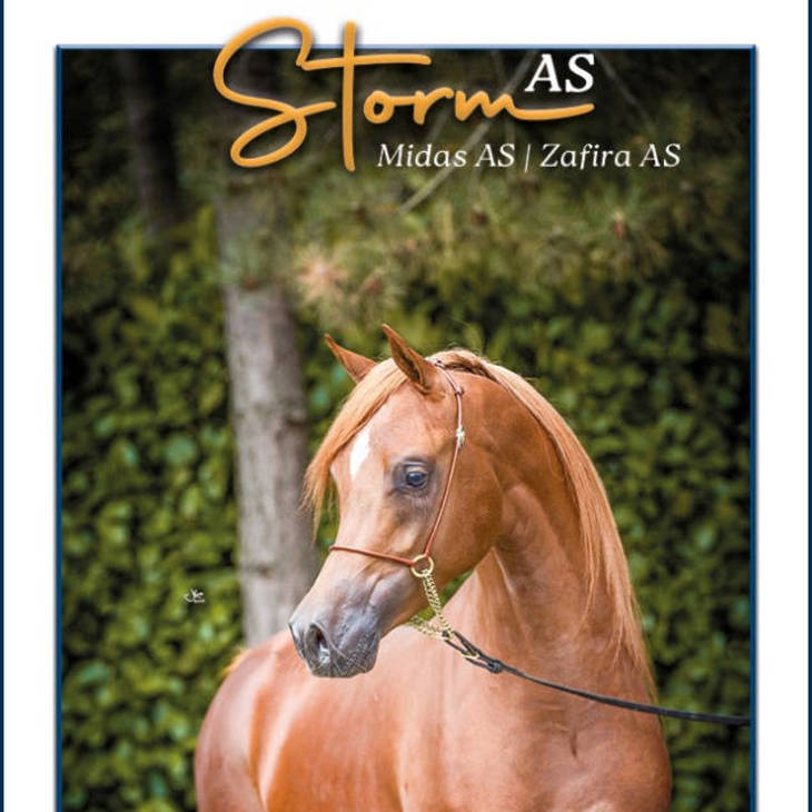 STORM AS