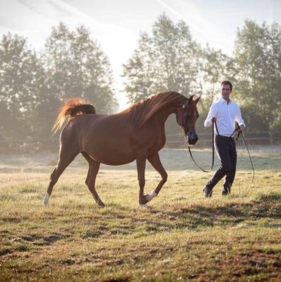 ZAFIRA AS | Dam of STORM AS