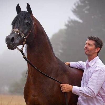 GAI EL JULLYEN | Paternal Grandsire of CONTENDER