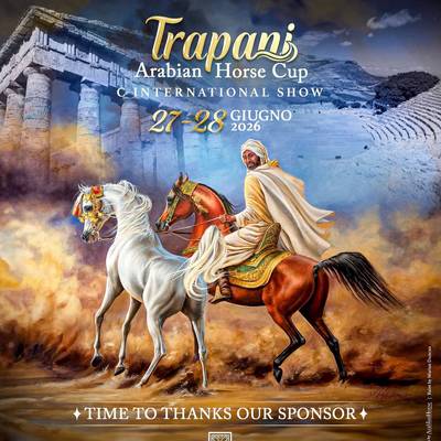 Trapani Arabian Horse Cup