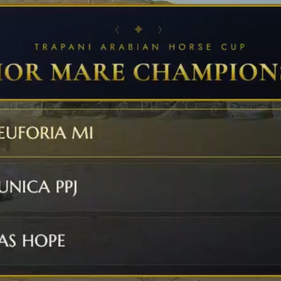 Trapani Arabian Horse Cup Senior Mare Championship