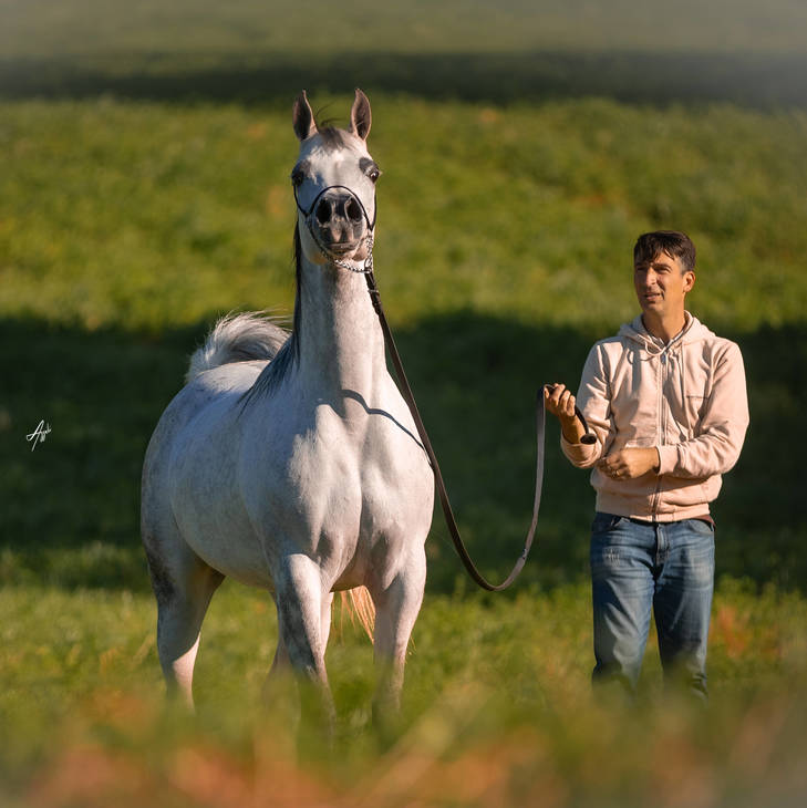 EUFORIA MI & Paolo Capecci