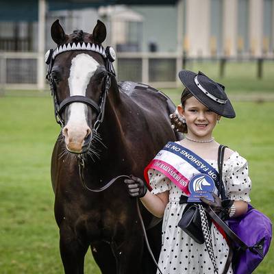 NSW Arabian & Derivative HOTY Show Results | 2026