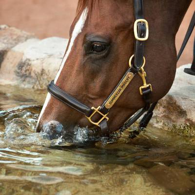 Summerzar Imagery