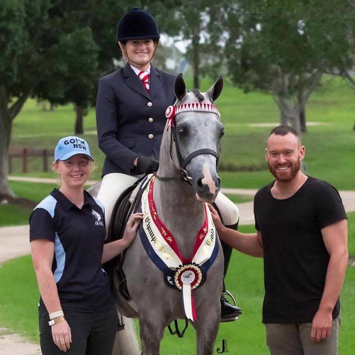 Gold National Champion Ridden Arabian Gelding ALLEGIANT MI