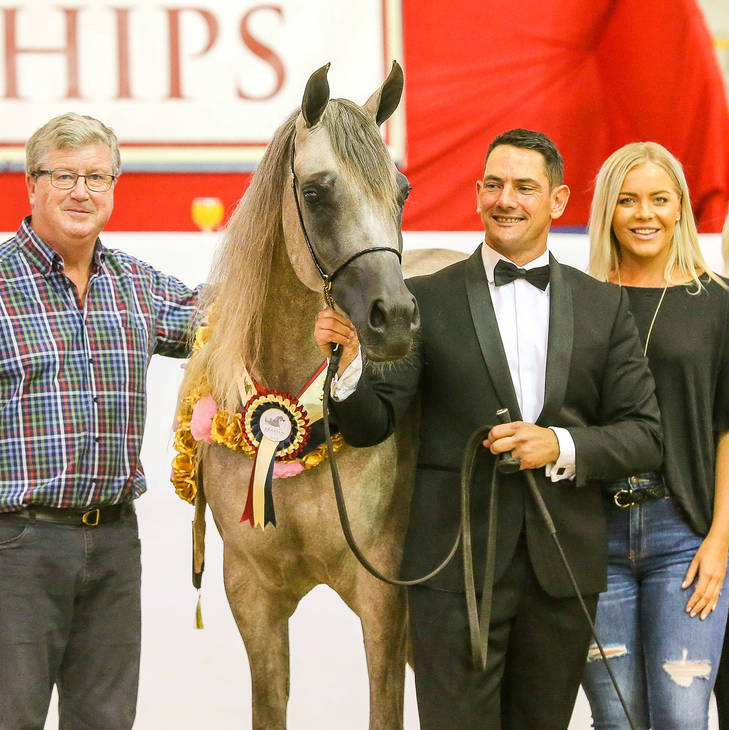 Gold National Champion KLASSICAL FAME MI