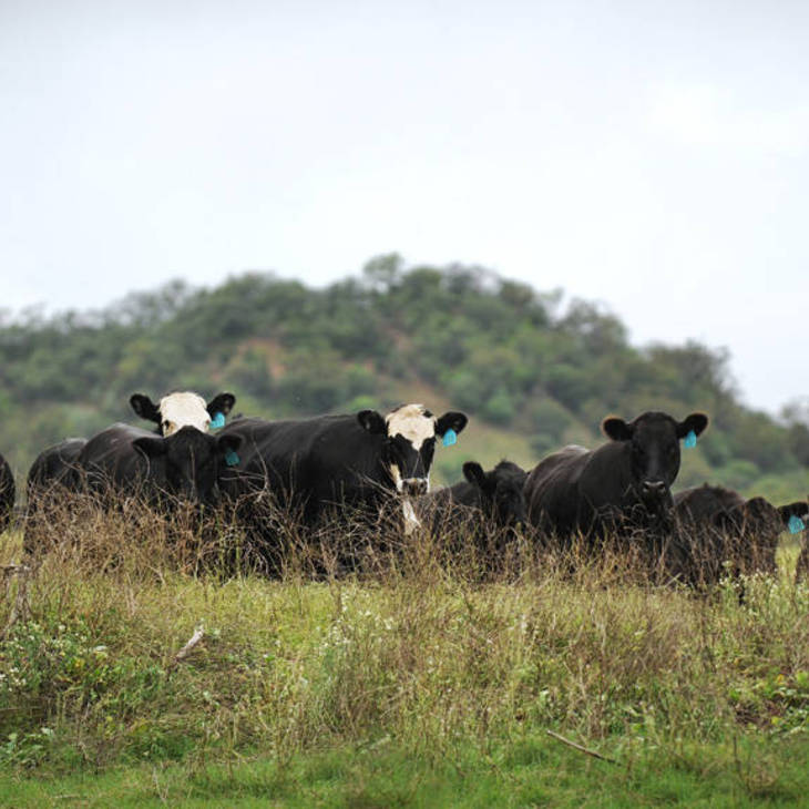 Gallery | Mulawa Facilities