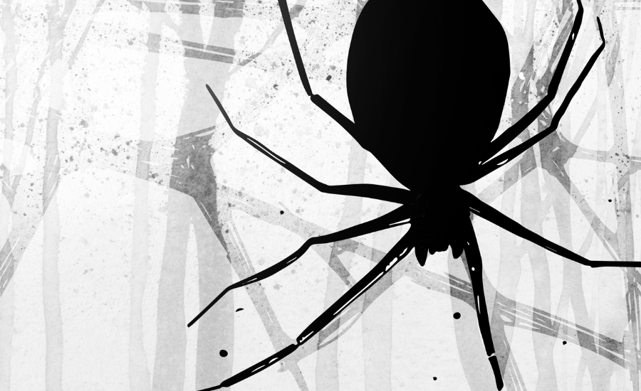 Return of Judith Weir’s opera The Black Spider