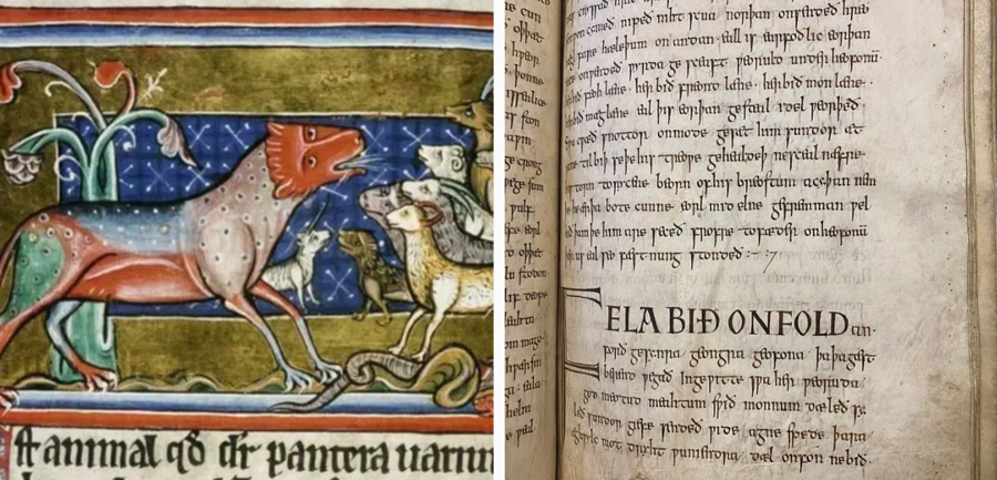 The Panther by Nico Muhly at Exeter Cathedral and on BBC Radio 3 