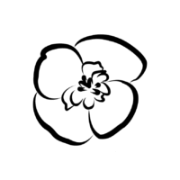 Bethesda Modern Primary Care