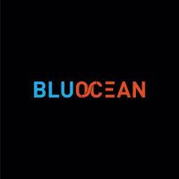 BluOcean Cyber