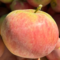 The Apple Farm