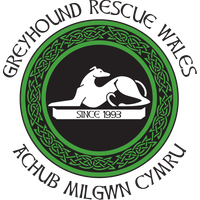 Greyhound Rescue Wales