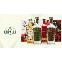 {{company.name}} logo