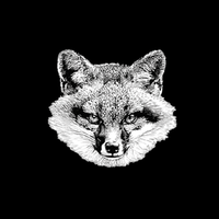 The Vale Fox Distillery