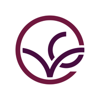 Vine Connections