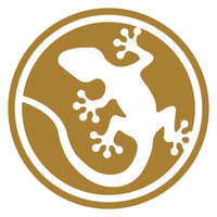 Tiny Gecko Studios
