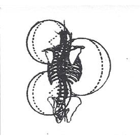 Kenney Chiropractic and Massage 