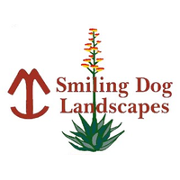 Smiling Dog Landscapes
