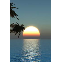 Every Day Healthlife