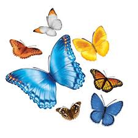 Nationwide Children's Hospital