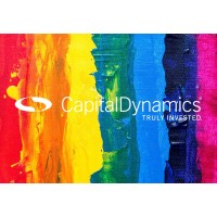 Capital Dynamics