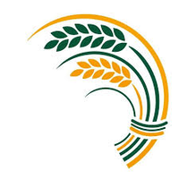 Cheshire East Council