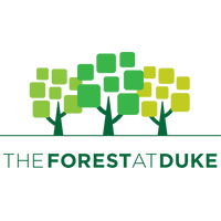 The Forest at Duke