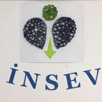 İnsan Sağlığı ve Eğitim Vakfı 